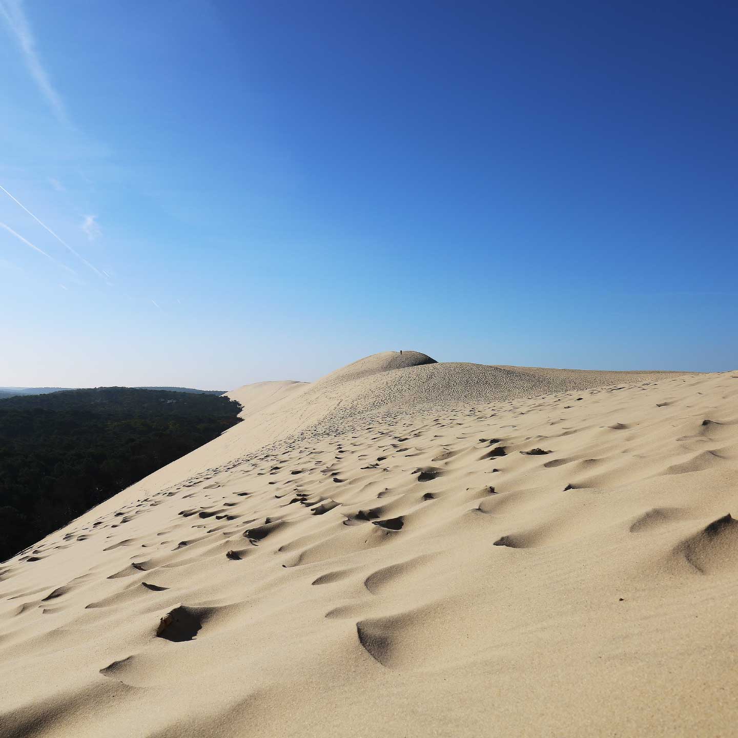 Sommet Dune du Pilat.